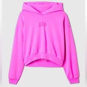 Viral Gap Arch Logo Cropped Hoodie